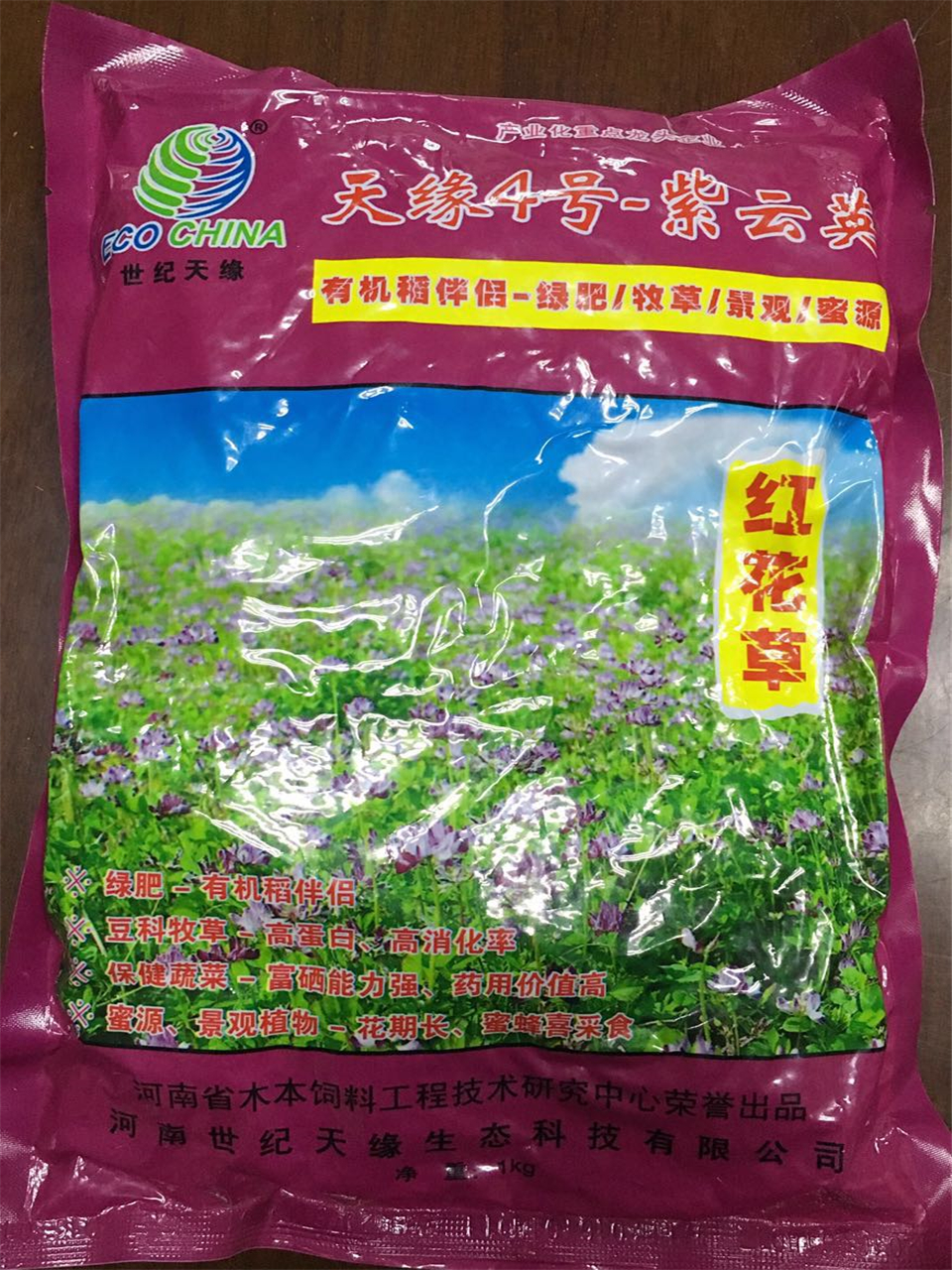 綠肥  紫云英
